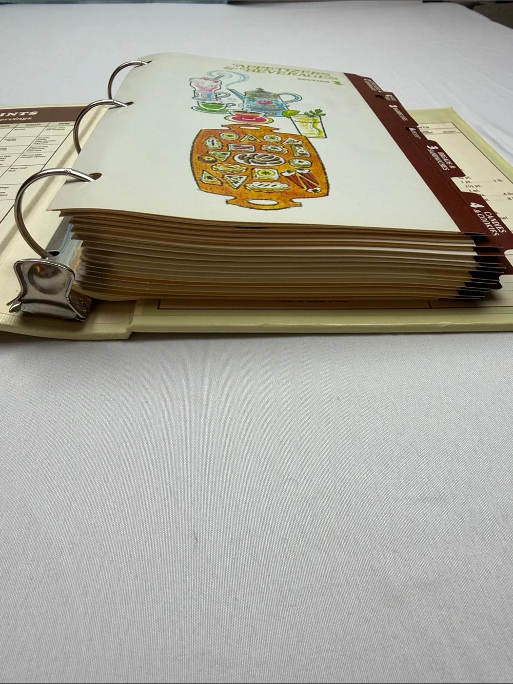 Vintage “The Complete Family Cook Book”- Hardcover 3 ring-binder style.